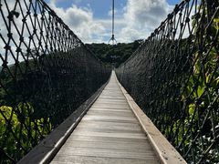 -三亚亚龙湾人间天堂鸟巢度假村