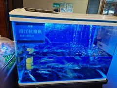 -熙楼(翠湖店)