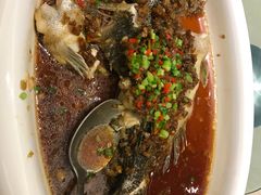 -小白鲨(四季青桥店)