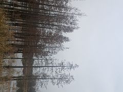 -白鹭湾湿地公园