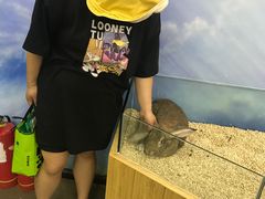 -昆明大悦城未来动物城(螺蛳湾中心店)