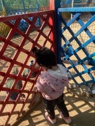 -萌宠亲子动物乐园(槐房万达店)