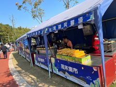 -上海长兴岛郊野公园