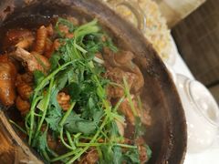招牌家鸡煲-渝君重庆火锅(嘉宾路店)