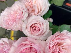 -循礼门鲜花花市(武汉循礼门店)