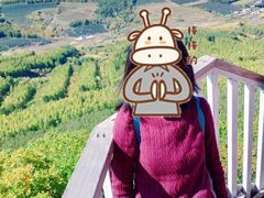 -帽儿山国家森林公园