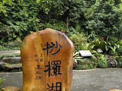 -深圳仙湖植物园