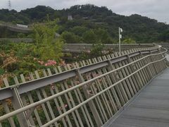 -福道