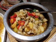 -新白鹿餐厅(金鹰新街口店)