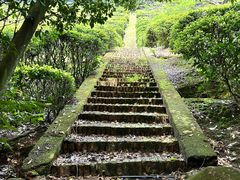 -雁南飞茶田景区