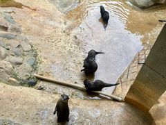 -昆明动物园