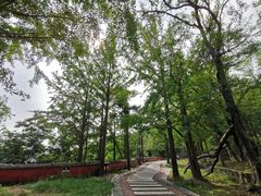 -阳台山自然风景区