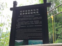 -川西竹海景区