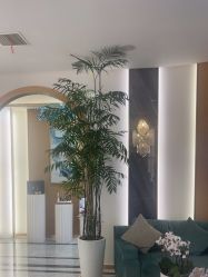 -雅曼妮spa美容养生