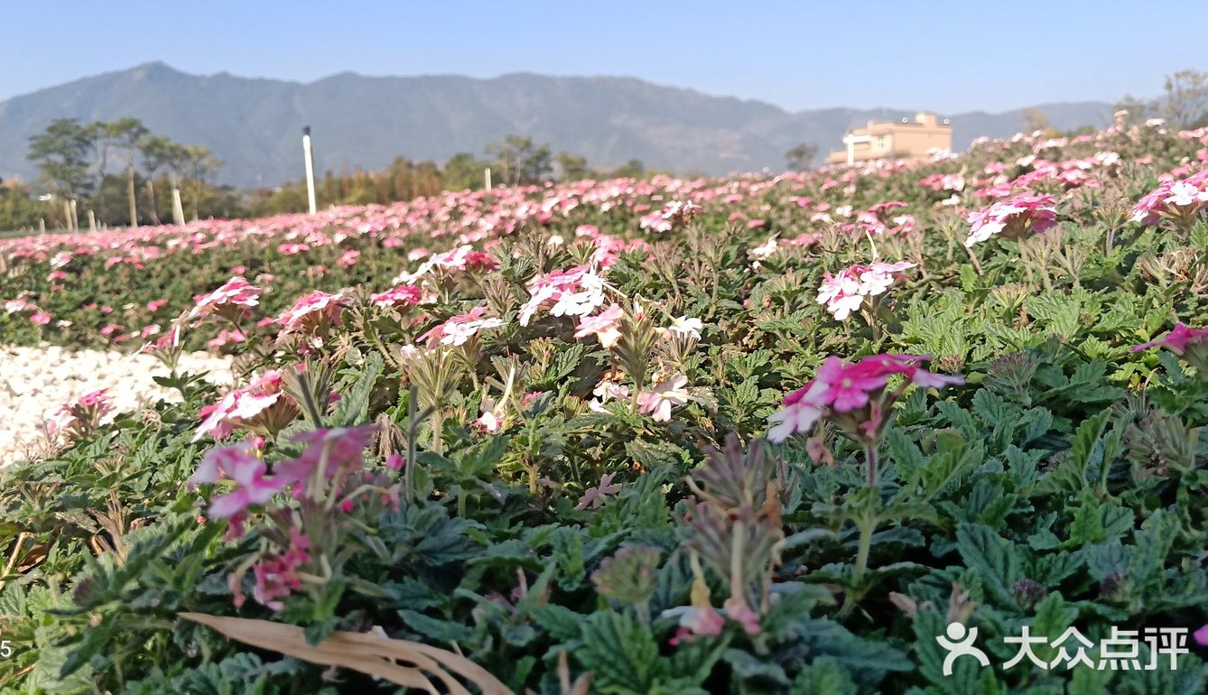 少了些商业化运作，还是很多人喜欢来这里的