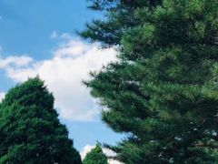 -北陵公园