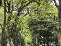 -桂林独秀峰王城景区