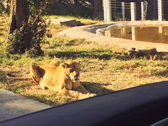 -西安秦岭野生动物园