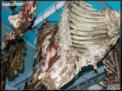 -白家寨子·山野白族菜(古城总店)