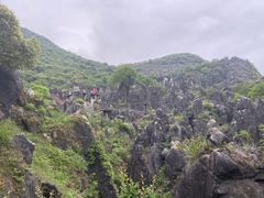 -玉石林风景区