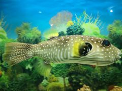 -泉州海丝野生动物世界