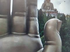 -龙口南山旅游景区