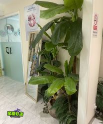 -健身堂科技美肌SPA