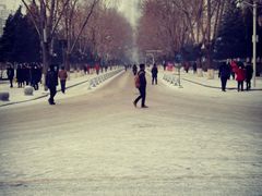 沈阳市摄影艺术家协会-东北大学(南湖校区)