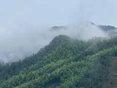 -江南天池