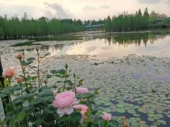 -白鹭湾湿地公园