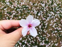 -龙美术馆(西岸馆)