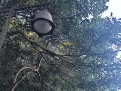 -普陀山风景区-佛顶山