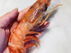 -煲宫猪肚鸡(晶品店)