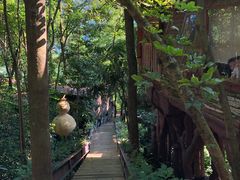 -天门沟九州驿站树上汤泉