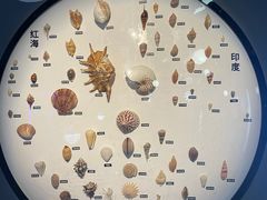 -海合安青岛极地海洋公园