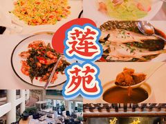 -莲苑中餐厅·Lotus Court(厦门马哥孛罗东方大酒店)