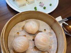 橙香椰汁糕-喜粤8号(四海唐人街店)