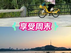 -芒洲湿地公园