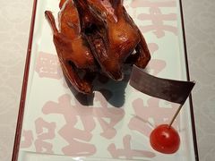 -五谷芳乳鸽王(海景店)