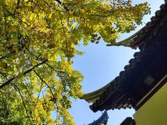 -西园戒幢律寺