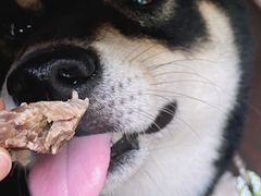 -伊隆斋(什刹海店)