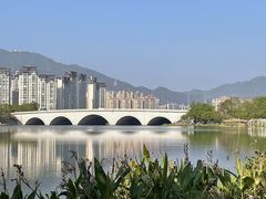 -飞来湖湿地公园
