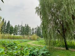 -百翠山居.家飨餐厅