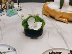 -鲐赏河豚(长寿店)