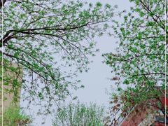 -中粮·祥云小镇