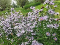 -汉长安城未央宫国家考古遗址公园