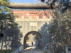 -云岗森林公园