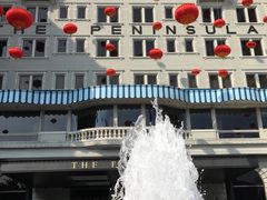 -大堂茶座