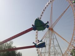 -阅海欢乐岛