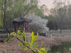 -北坞公园